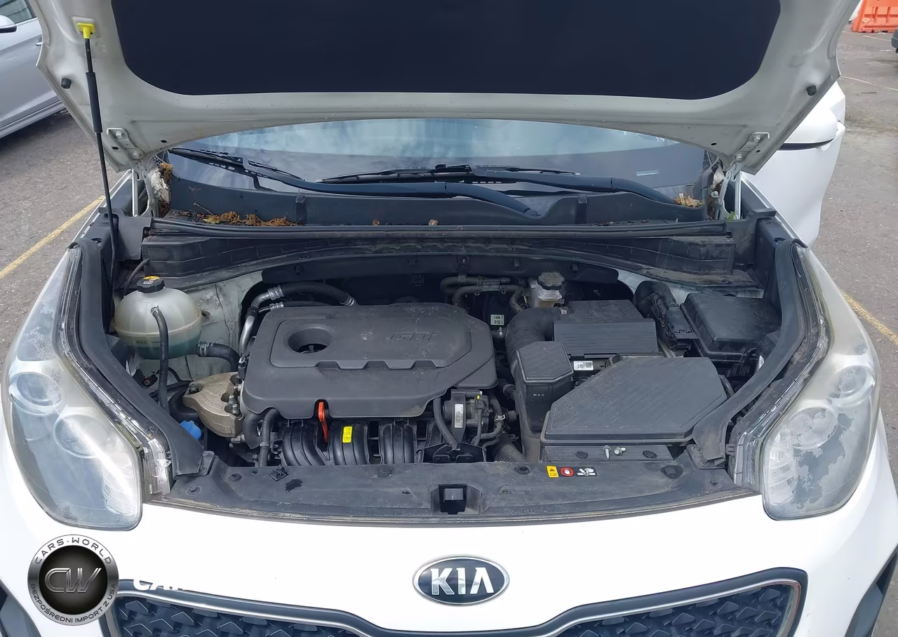 2017 Kia Sportage Lx VIN:KNDPM3AC7H7118806 - 10