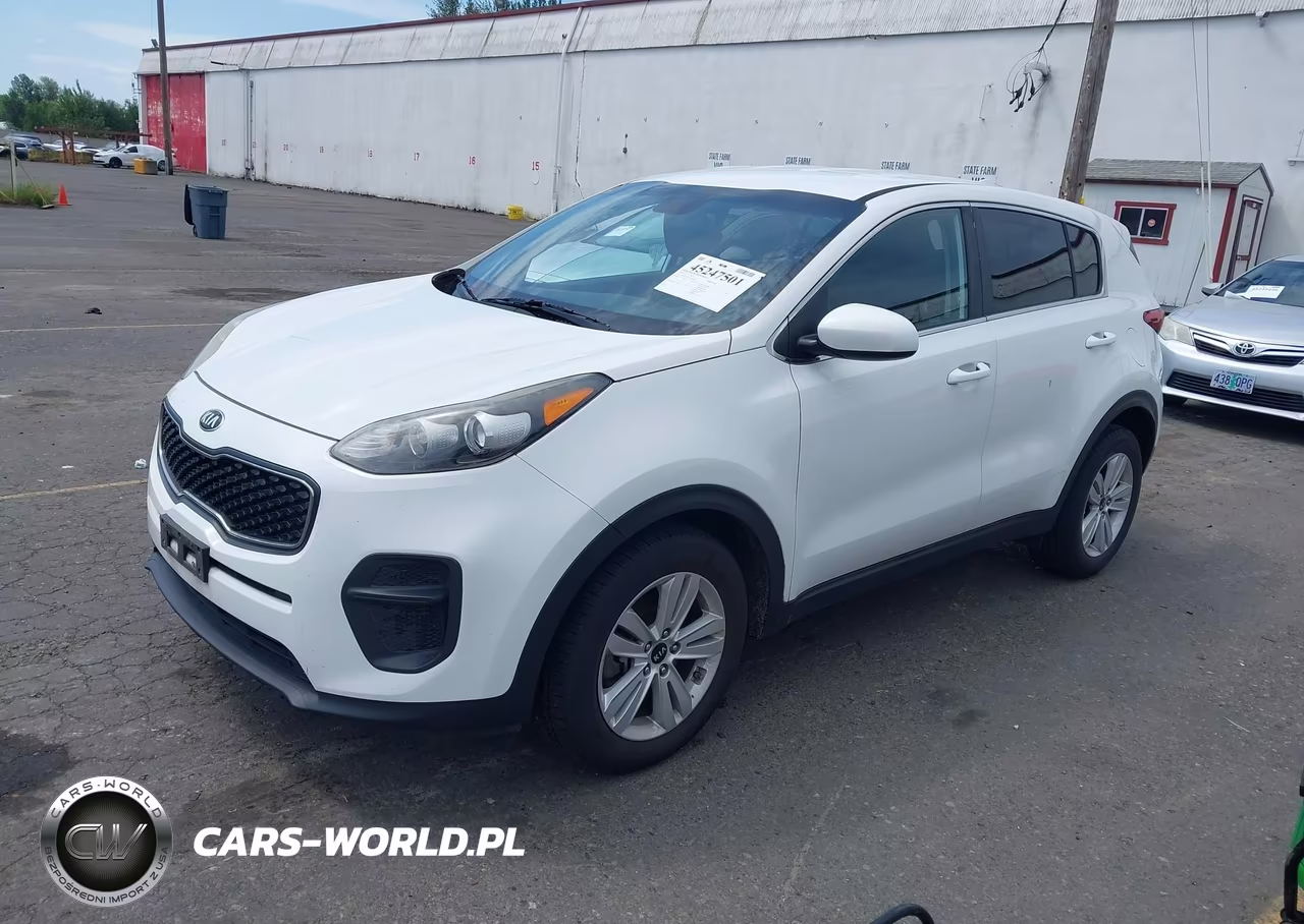 2017 Kia Sportage Lx VIN:KNDPM3AC7H7118806 - 2