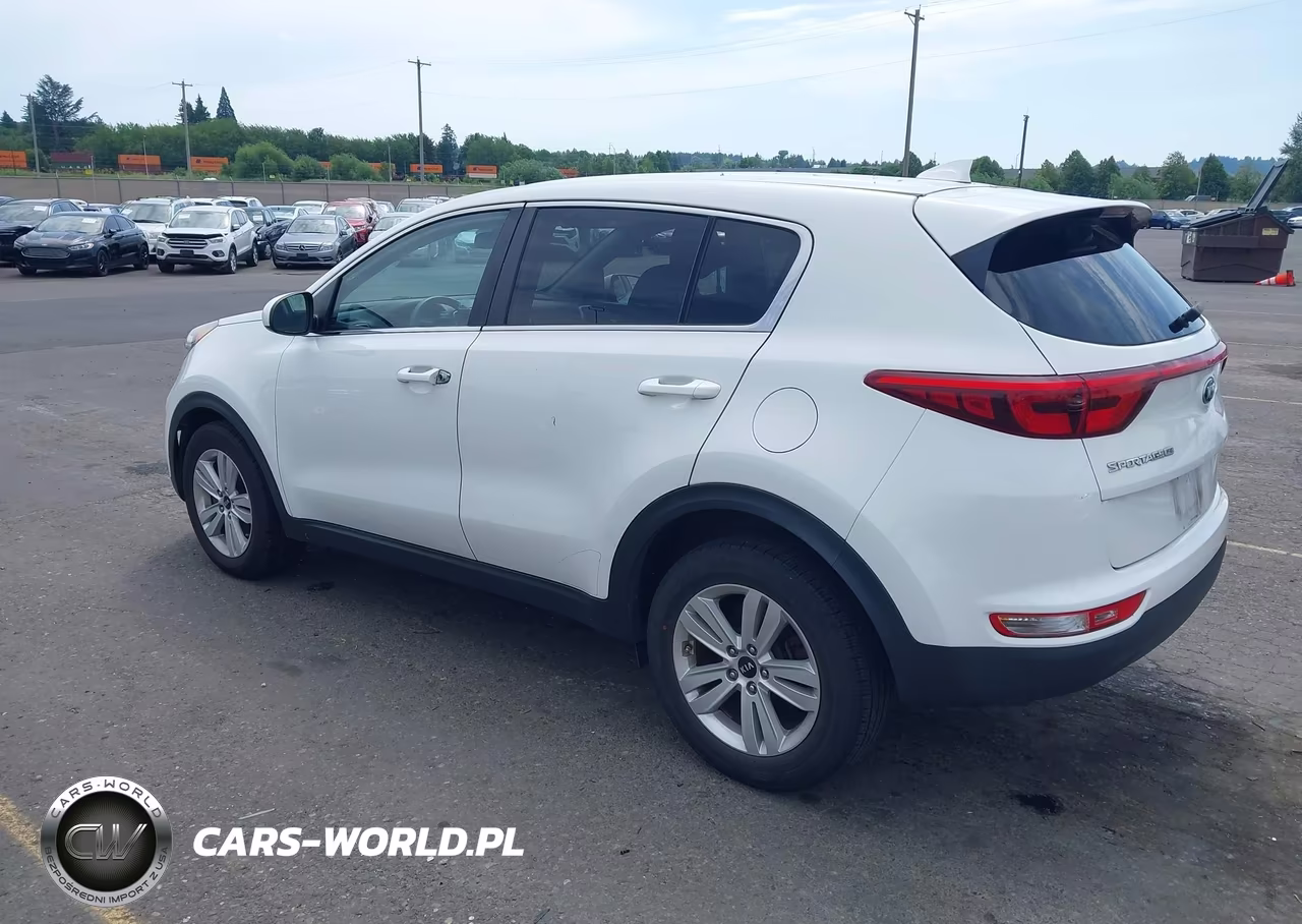 2017 Kia Sportage Lx VIN:KNDPM3AC7H7118806 - 3