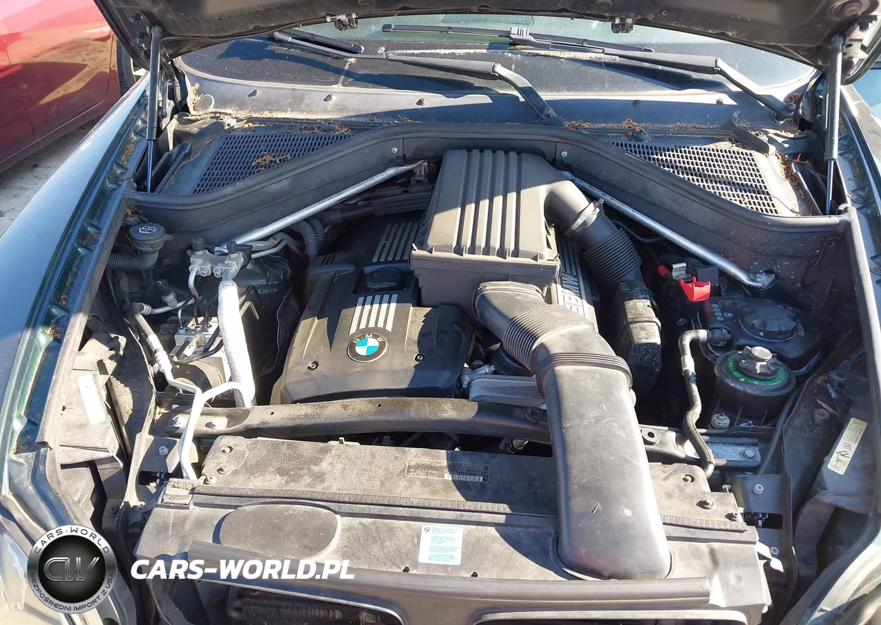 2009 BMW X5 xDrive30I VIN:5UXFE43589L260473 - 10