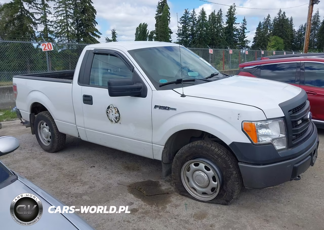 2014 Ford F-150 Xl VIN:1FTMF1EM9EFB62988 - 13
