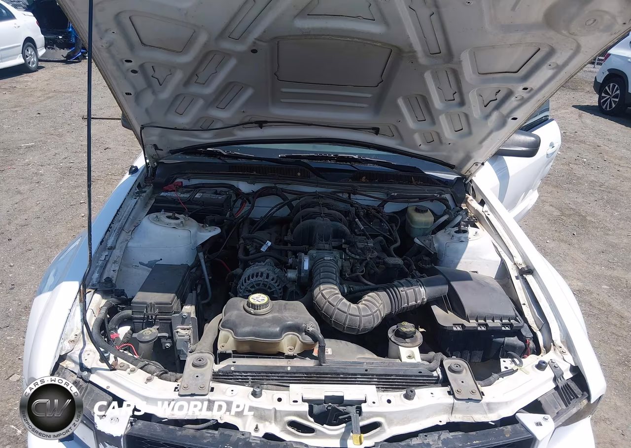 2006 Ford Mustang V6 VIN:1ZVFT84N265107372 - 10