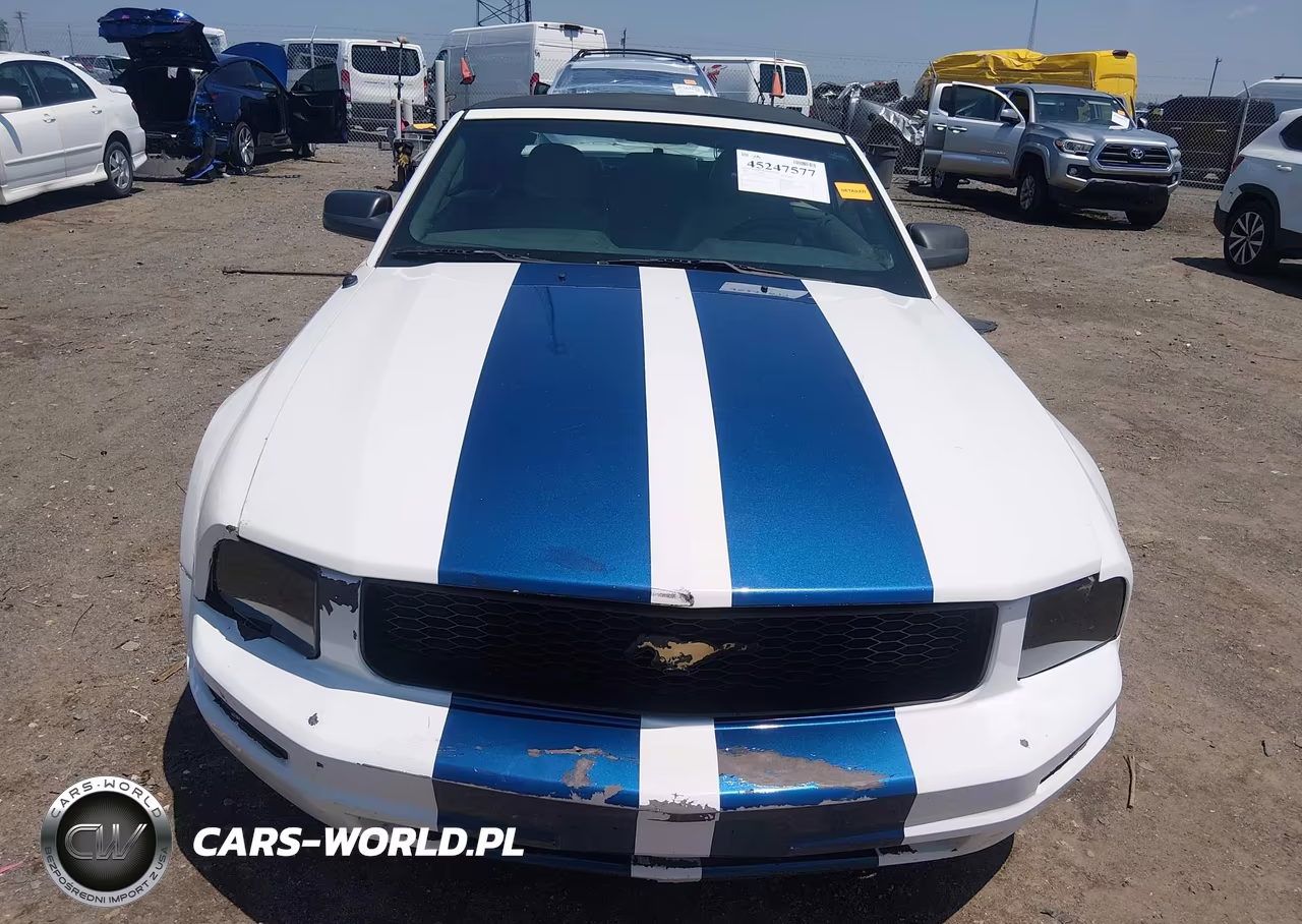 2006 Ford Mustang V6 VIN:1ZVFT84N265107372 - 12