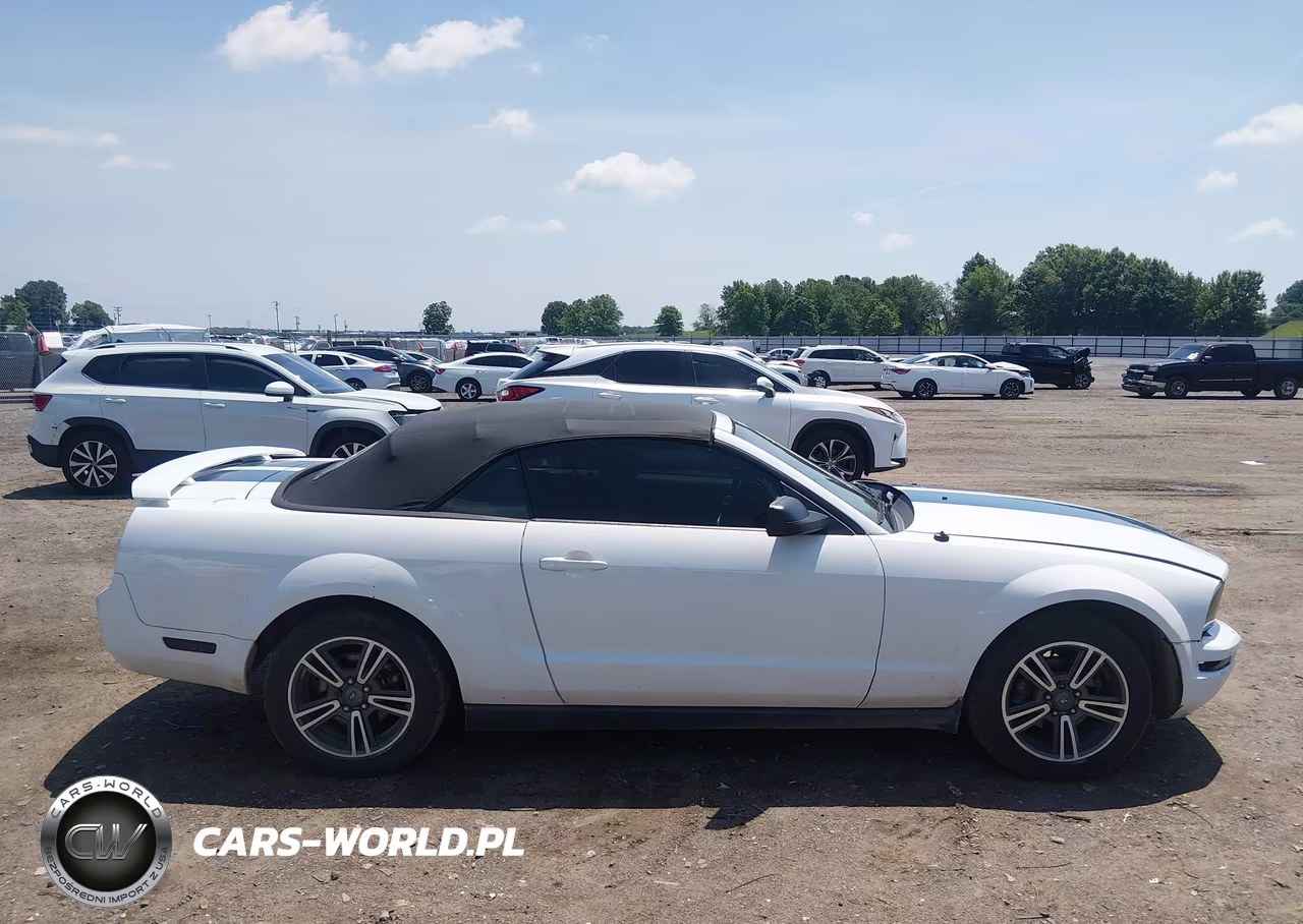 2006 Ford Mustang V6 VIN:1ZVFT84N265107372 - 13