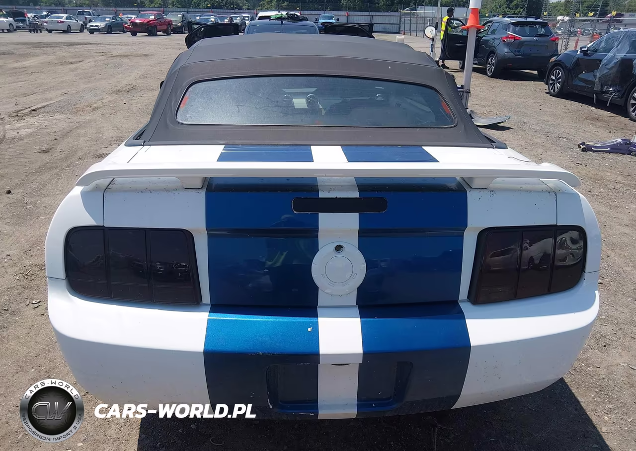 2006 Ford Mustang V6 VIN:1ZVFT84N265107372 - 16