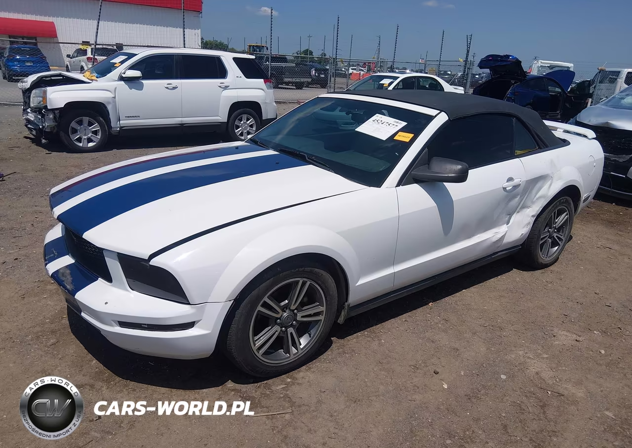 2006 Ford Mustang V6 VIN:1ZVFT84N265107372 - 2