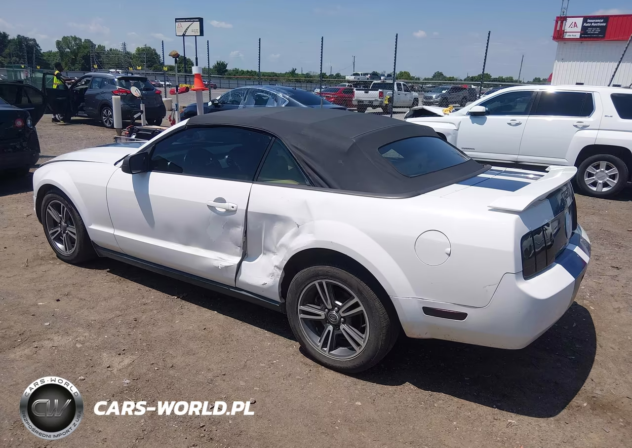 2006 Ford Mustang V6 VIN:1ZVFT84N265107372 - 3