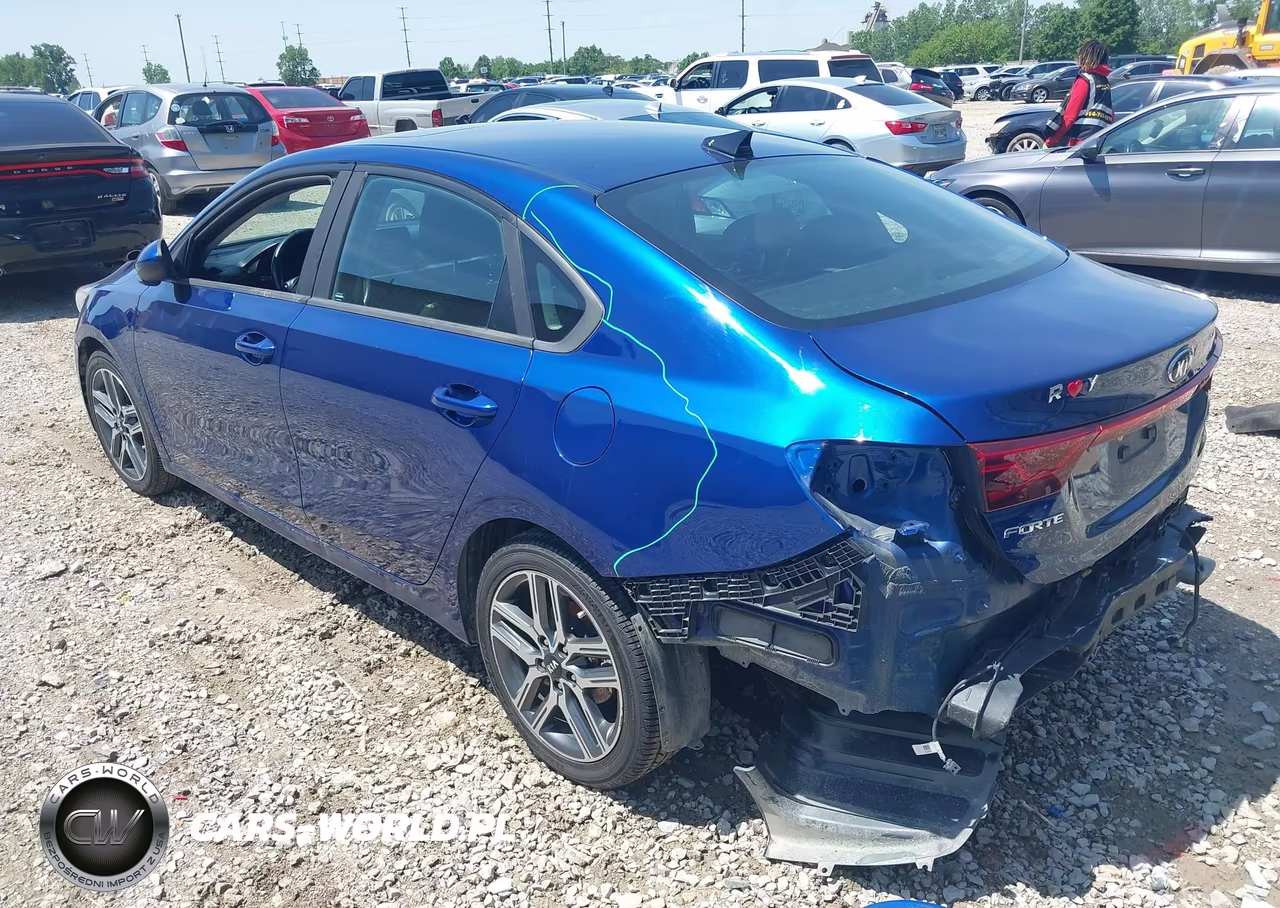 2019 Kia Forte S VIN:3KPF34AD0KE038915 - 3