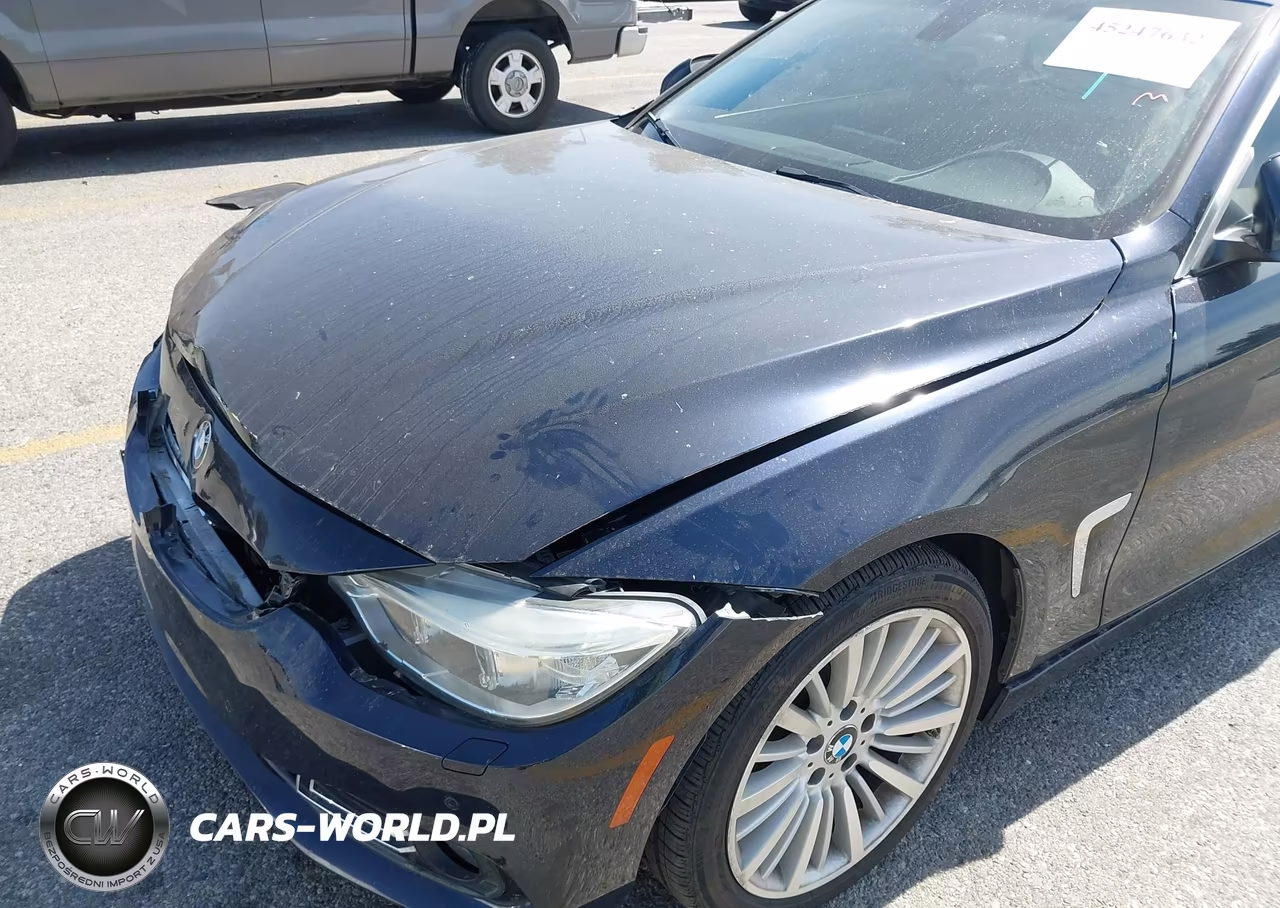 2014 BMW 428I VIN:WBA3V7C50EJ873227 - 17