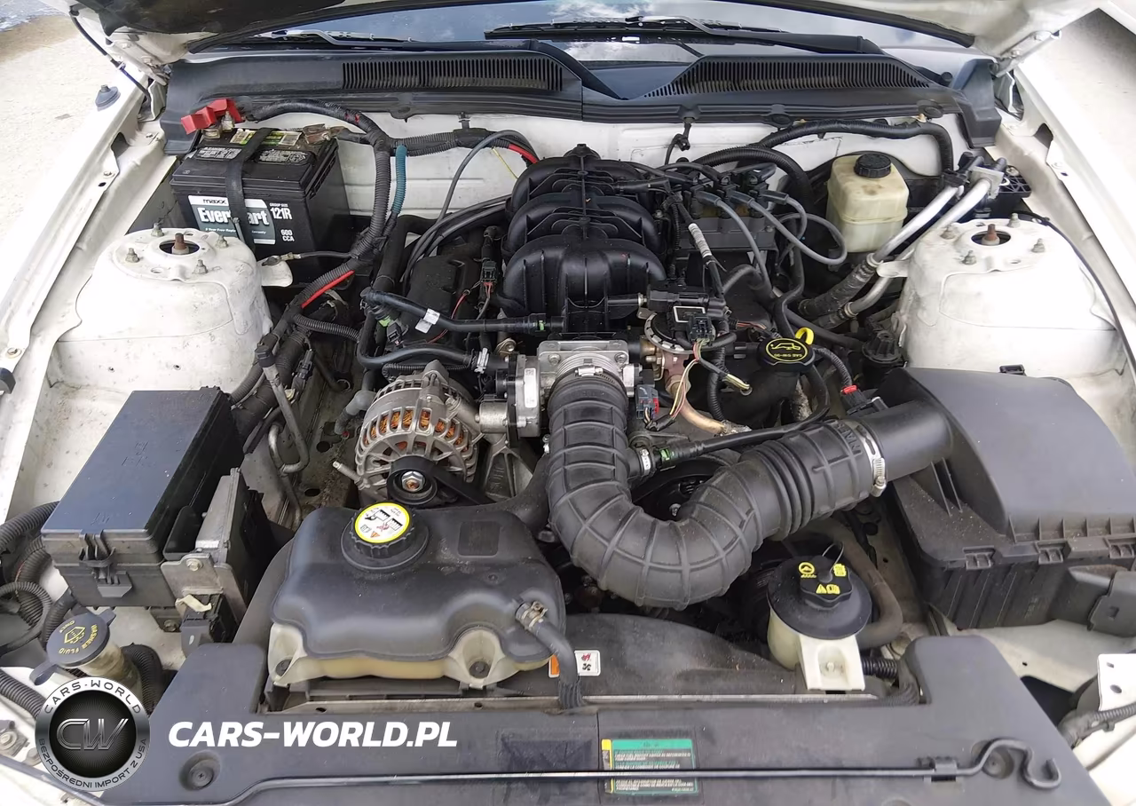 2007 Ford Mustang V6 Deluxe-V6 Premium VIN:1ZVFT80N275294555 - 10
