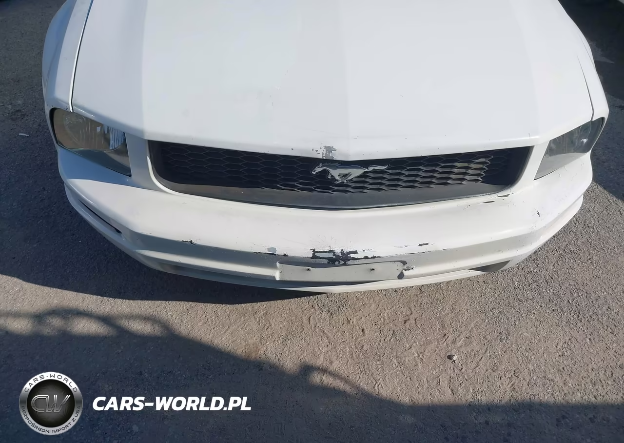 2007 Ford Mustang V6 Deluxe-V6 Premium VIN:1ZVFT80N275294555 - 6