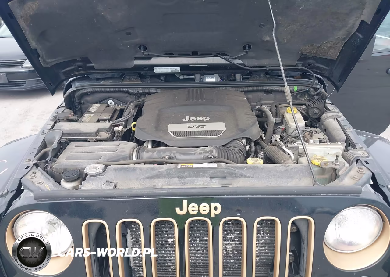 2014 Jeep Wrangler Unlimited Dragon Edition VIN:1C4HJWEG8EL161078 - 10