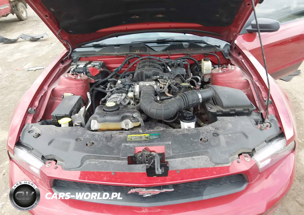 2010 Ford Mustang V6-V6 Premium VIN:1ZVBP8AN0A5106768 - 10