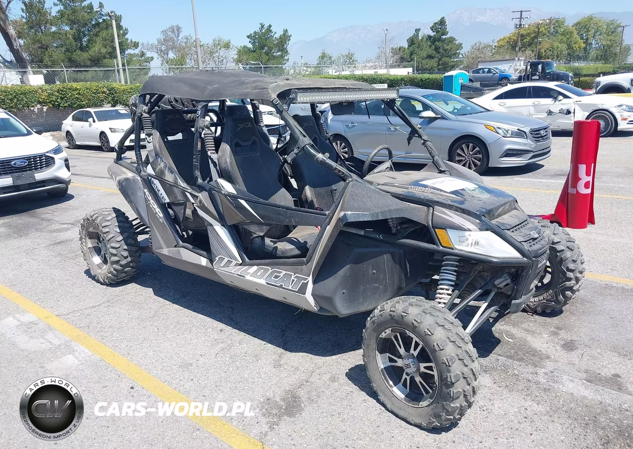2013 Arctic Cat Wildcat 1000 V-Twin