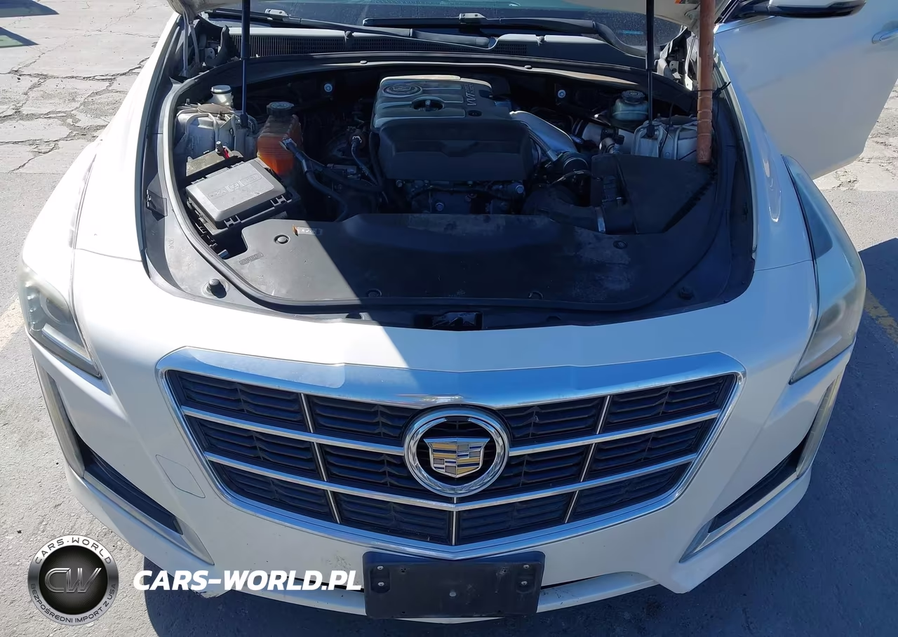2014 Cadillac Cts Standard VIN:1G6AP5SX2E0188215 - 10