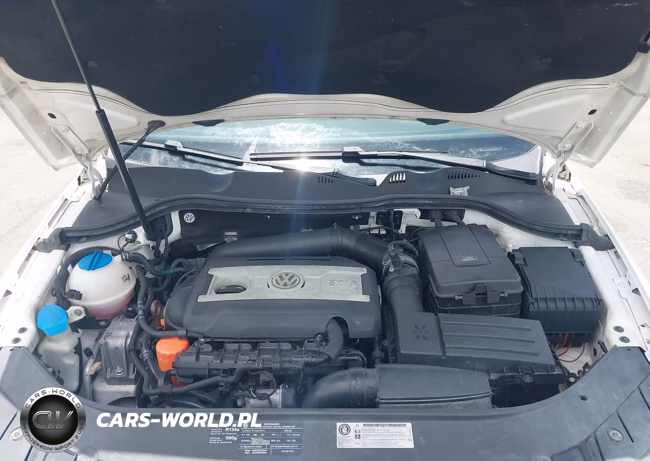 2010 Volkswagen Passat Komfort VIN:WVWJK7AN4AP054217 - 10