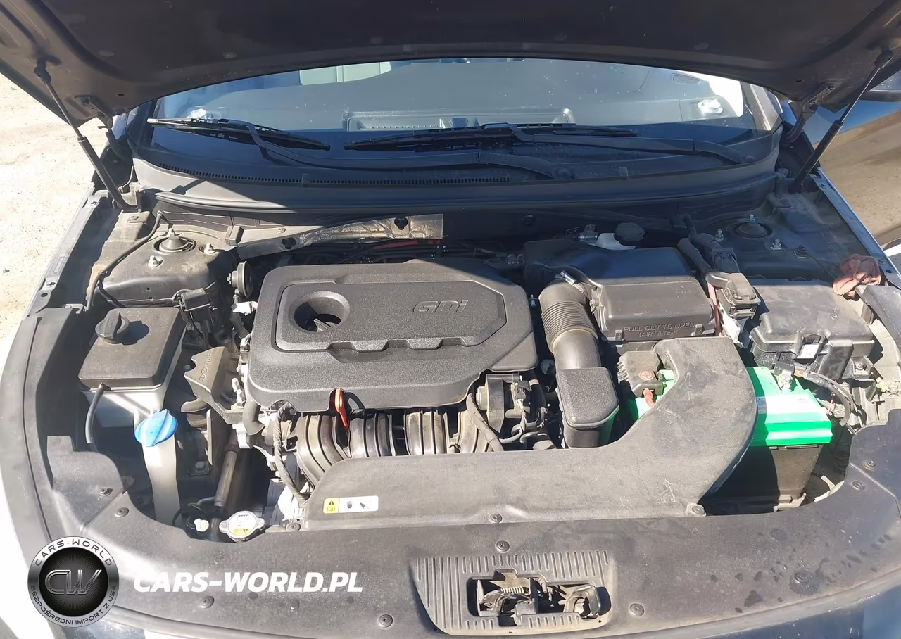 2015 Hyundai Sonata Se VIN:5NPE24AF8FH243528 - 10