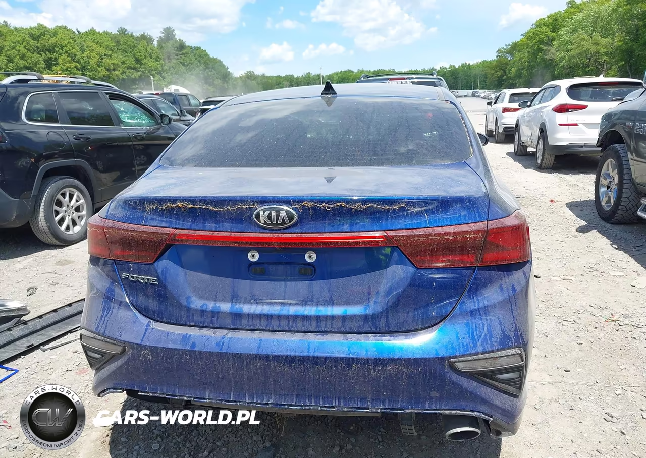 2019 Kia Forte Lxs VIN:3KPF24AD7KE124676 - 17