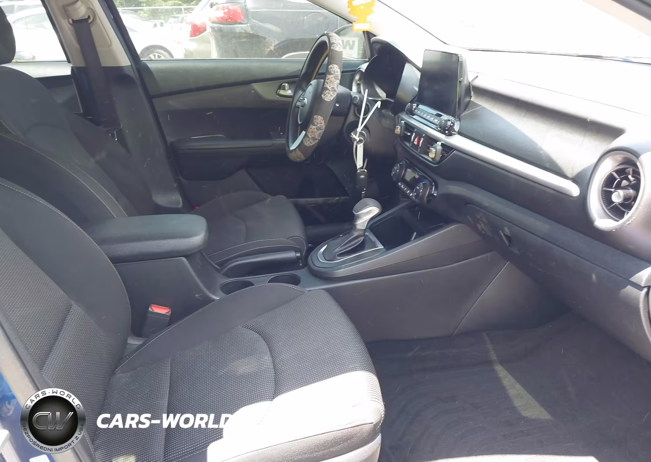 2019 Kia Forte Lxs VIN:3KPF24AD7KE124676 - 5