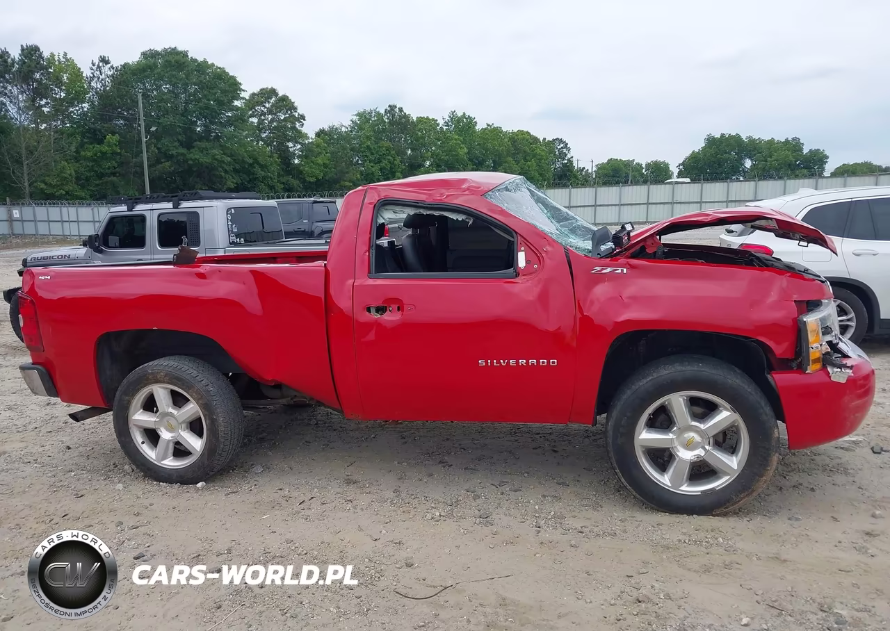 2011 Chevrolet Silverado 1500 Work Truck VIN:1GCNCPEX2BZ215096 - 13