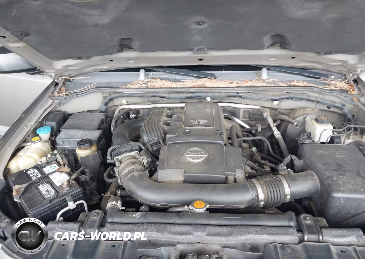 2005 Nissan Xterra S VIN:5N1AN08U45C602382 - 10