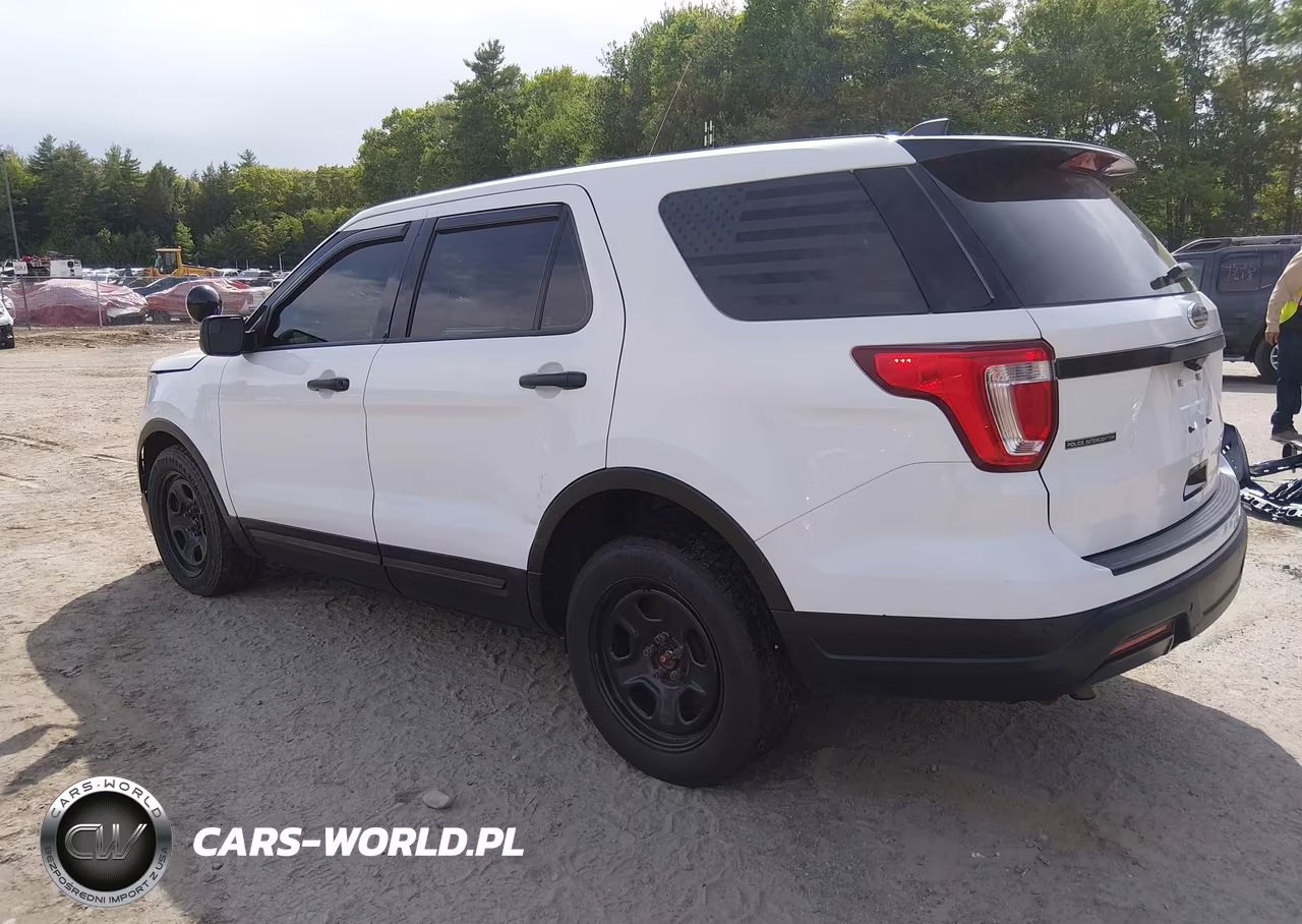 2018 Ford Police Interceptor Utility VIN:1FM5K8AR1JGC16939 - 3