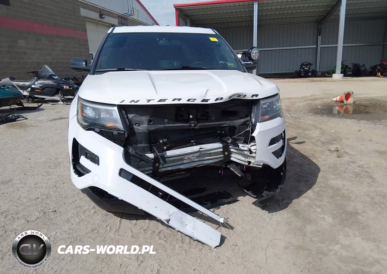 2018 Ford Police Interceptor Utility VIN:1FM5K8AR1JGC16939 - 6