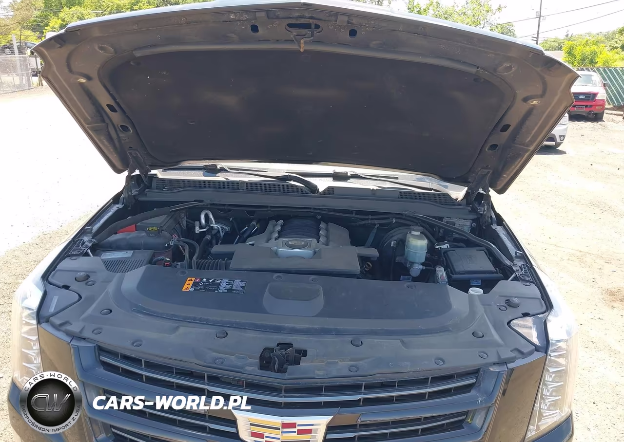 2020 Cadillac Escalade Esv 4Wd Platinum VIN:1GYS4KKJXLR157933 - 10