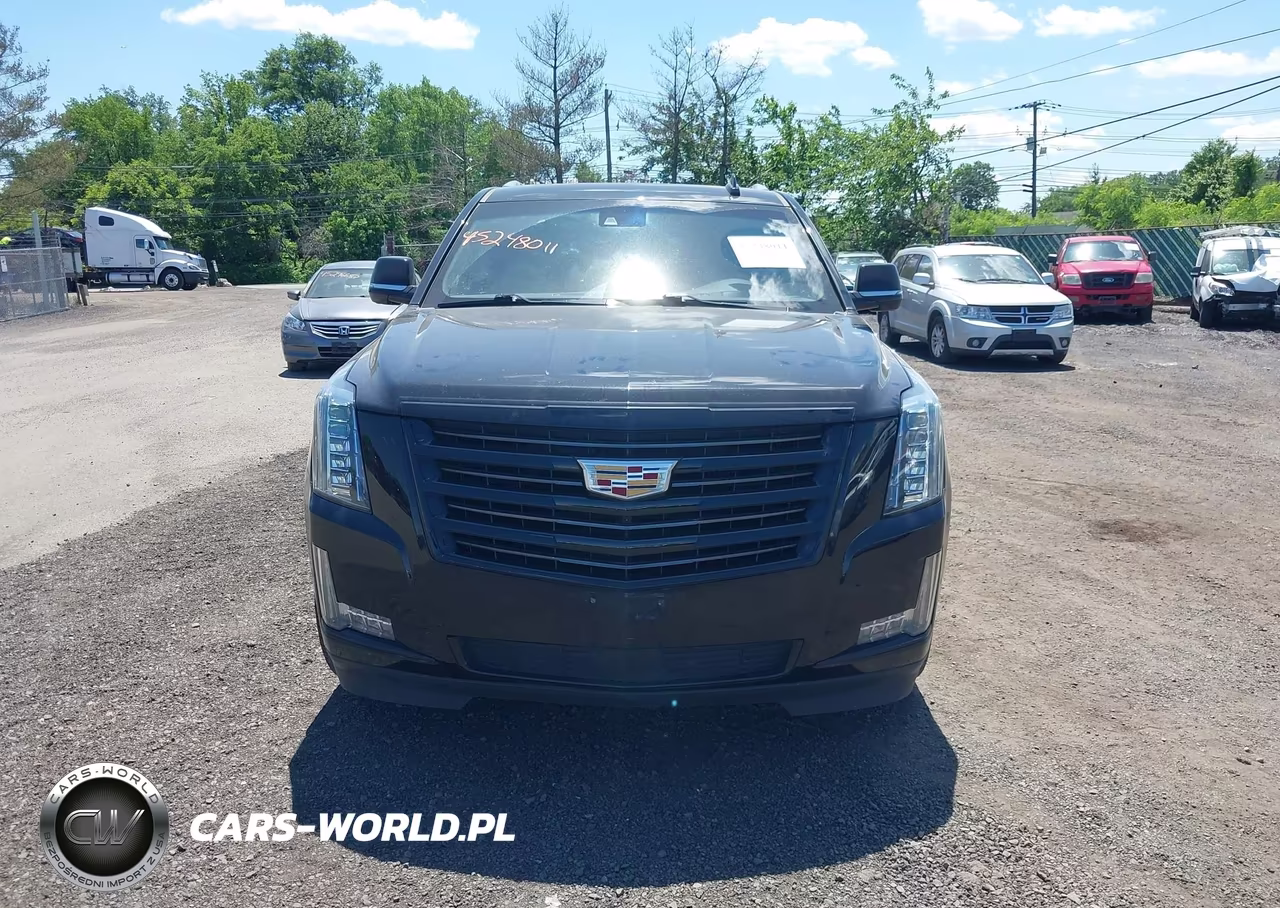 2020 Cadillac Escalade Esv 4Wd Platinum VIN:1GYS4KKJXLR157933 - 12