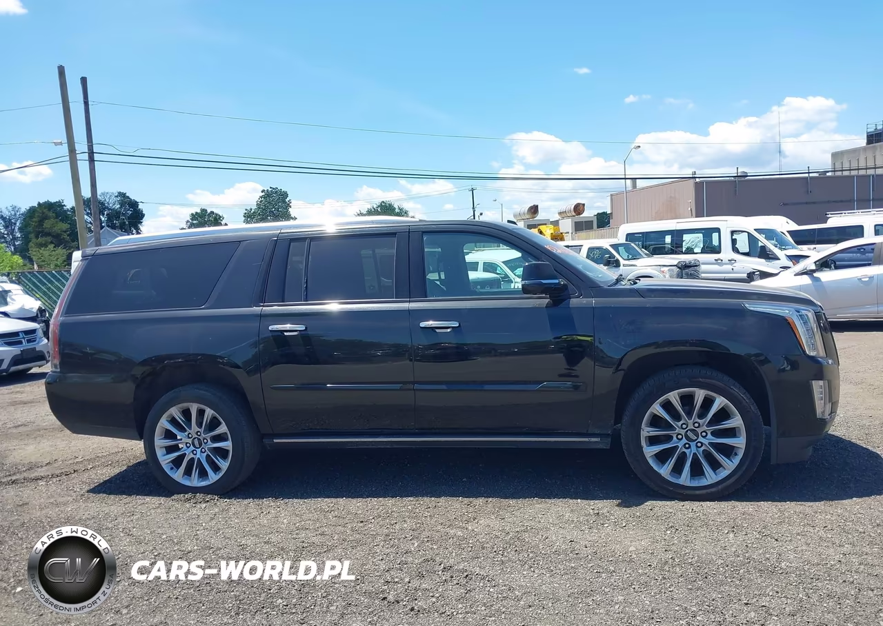 2020 Cadillac Escalade Esv 4Wd Platinum VIN:1GYS4KKJXLR157933 - 13