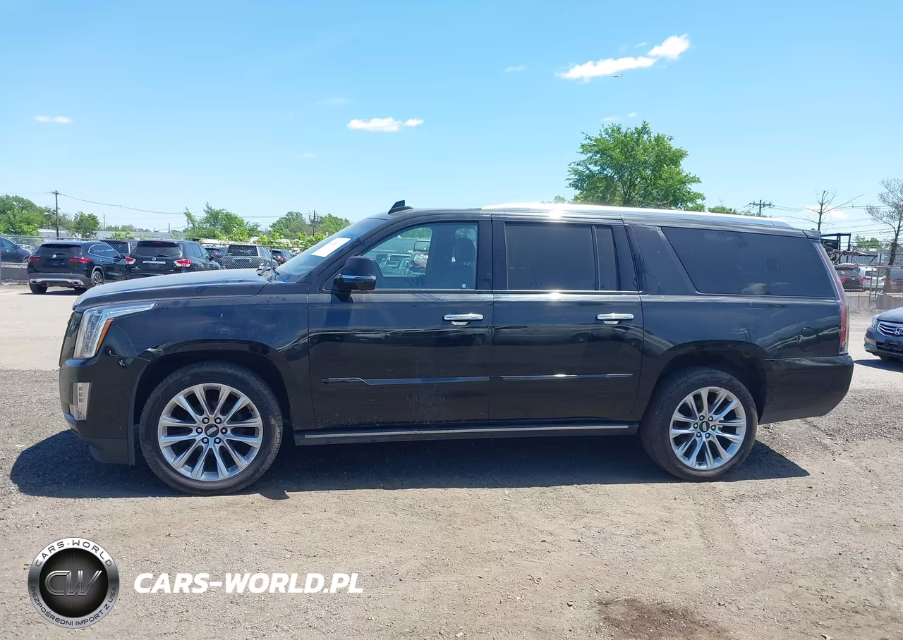 2020 Cadillac Escalade Esv 4Wd Platinum VIN:1GYS4KKJXLR157933 - 14