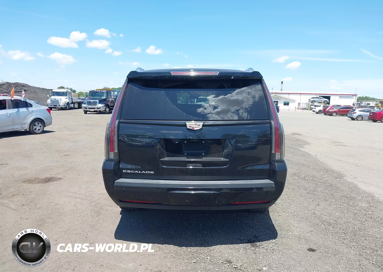2020 Cadillac Escalade Esv 4Wd Platinum VIN:1GYS4KKJXLR157933 - 16