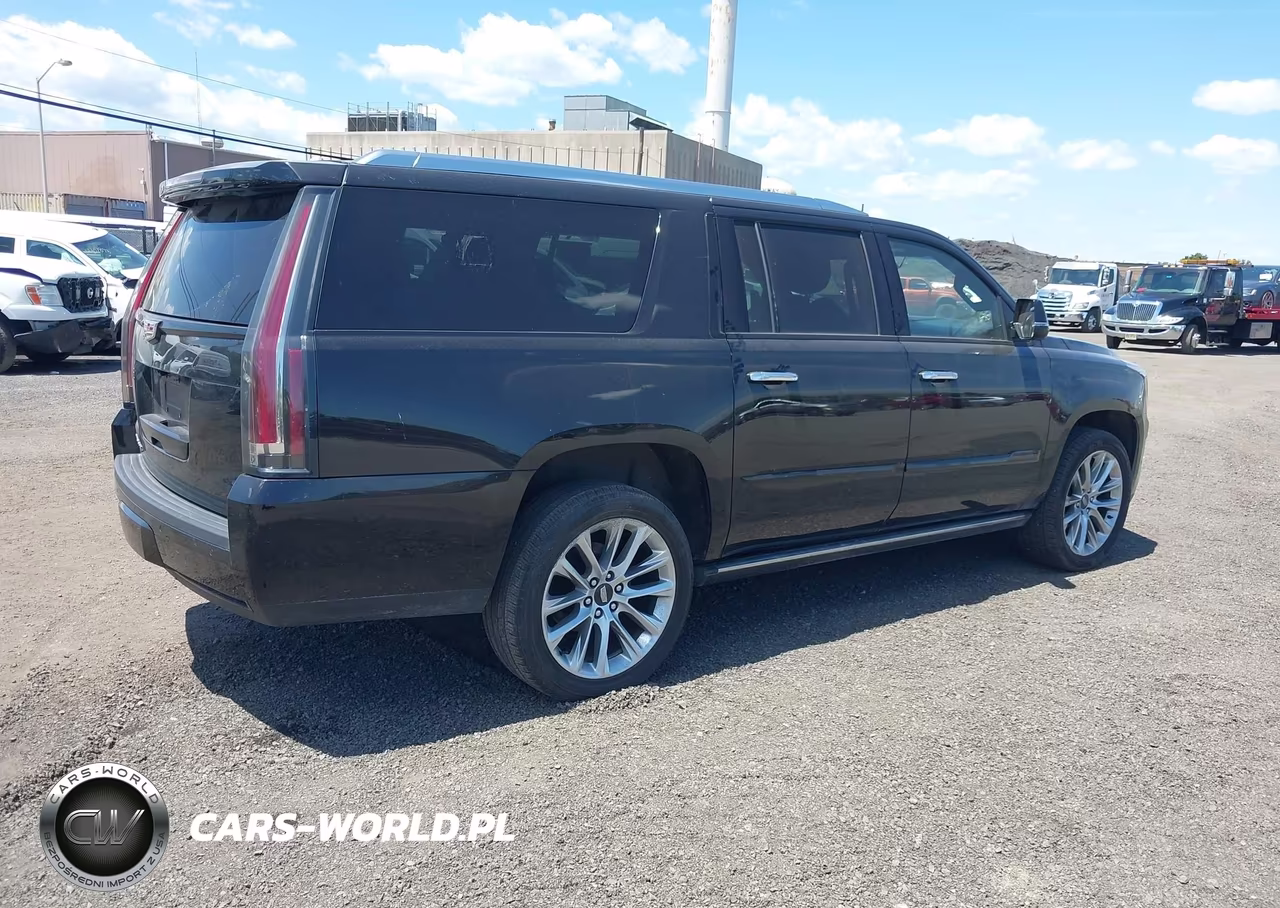 2020 Cadillac Escalade Esv 4Wd Platinum VIN:1GYS4KKJXLR157933 - 4