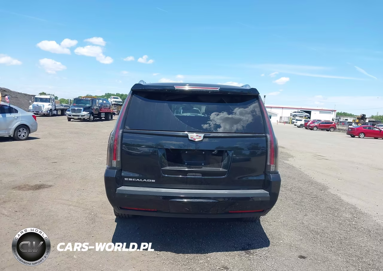 2020 Cadillac Escalade Esv 4Wd Platinum VIN:1GYS4KKJXLR157933 - 6