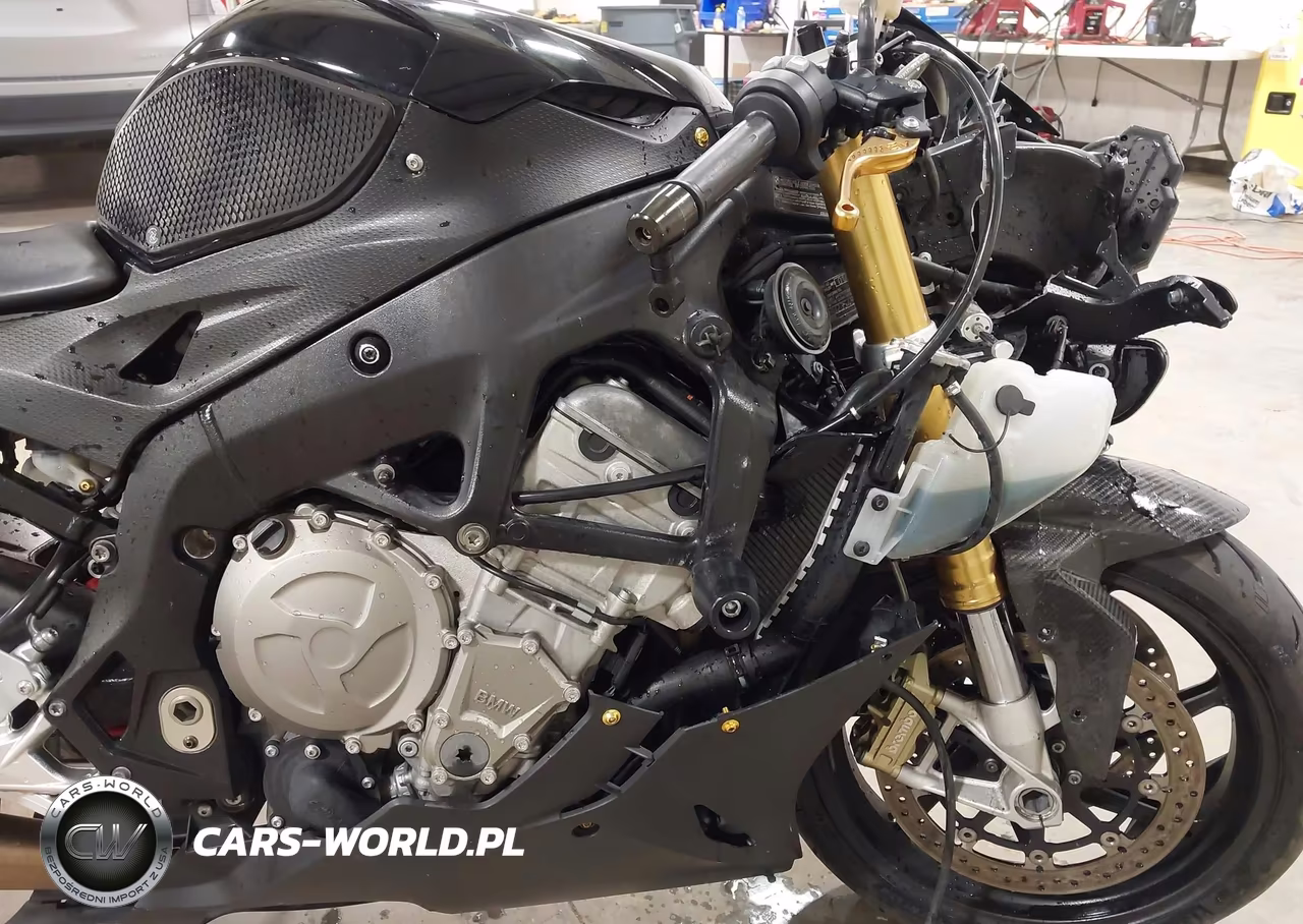 2016 BMW S 1000 Rr VIN:WB10D2109GZ354584 - 16