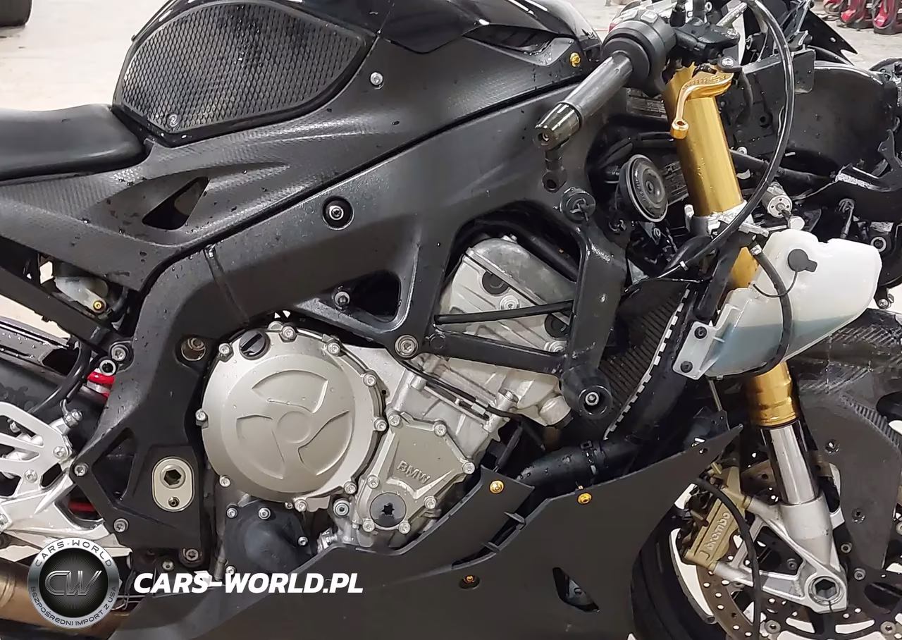 2016 BMW S 1000 Rr VIN:WB10D2109GZ354584 - 8