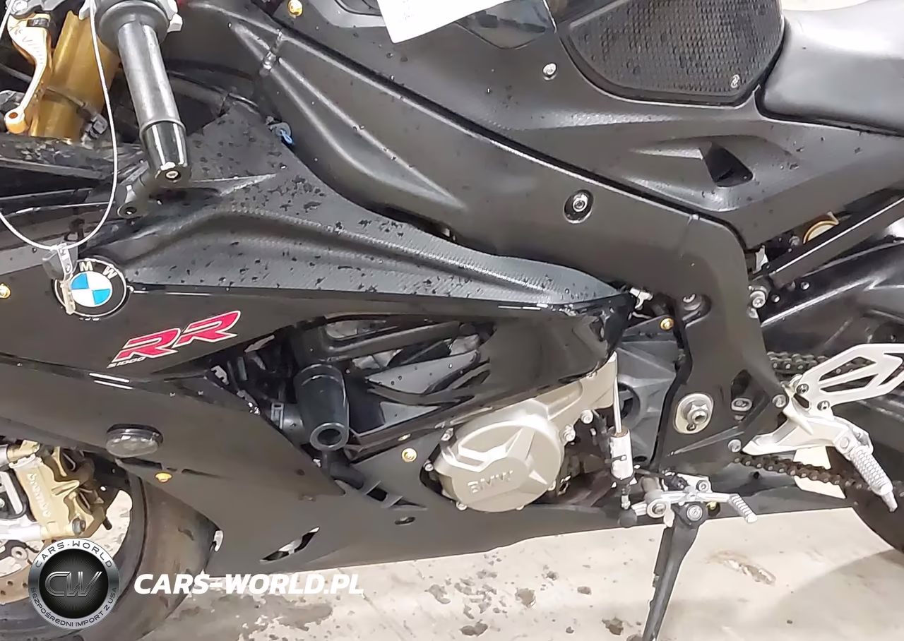 2016 BMW S 1000 Rr VIN:WB10D2109GZ354584 - 9