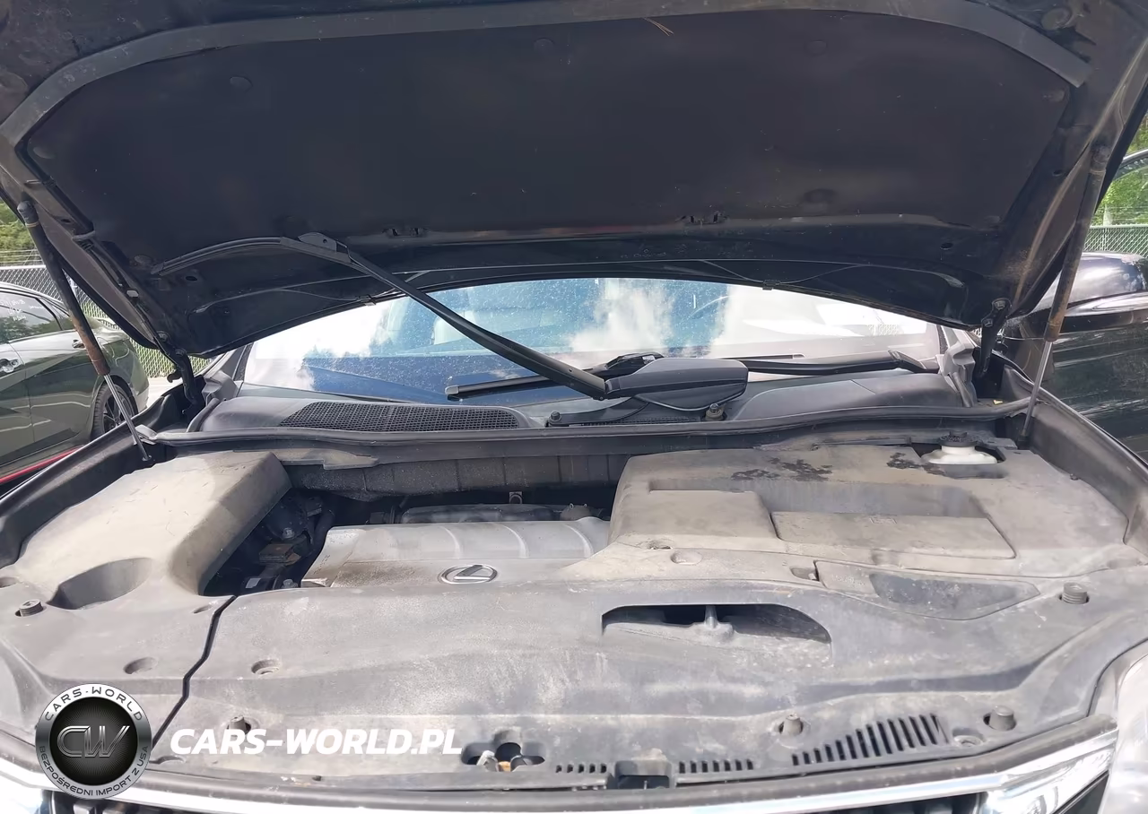 2012 Lexus Rx 350 VIN:2T2BK1BA2CC138207 - 10