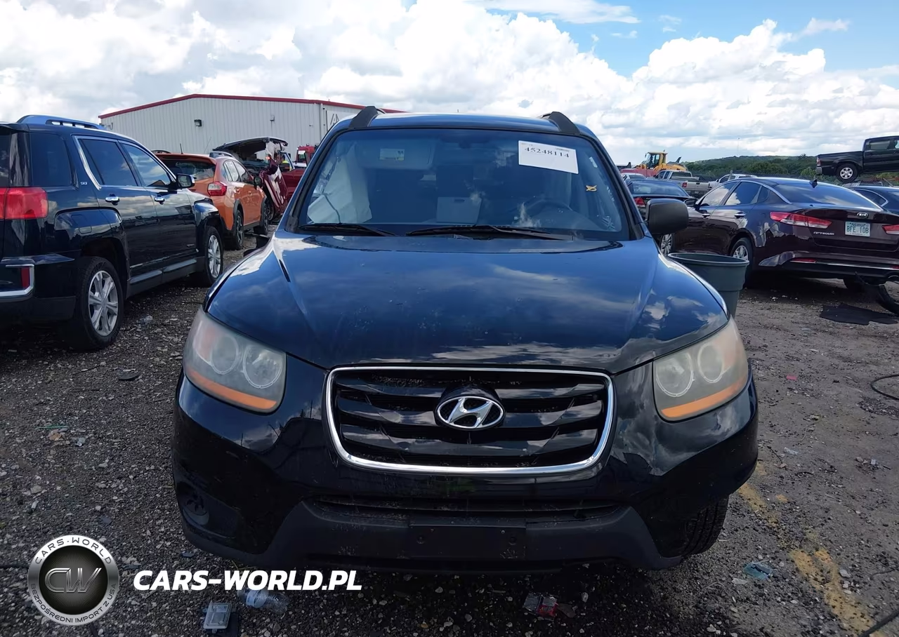 2010 Hyundai Santa Fe Gls VIN:5NMSG3AB5AH390228 - 12