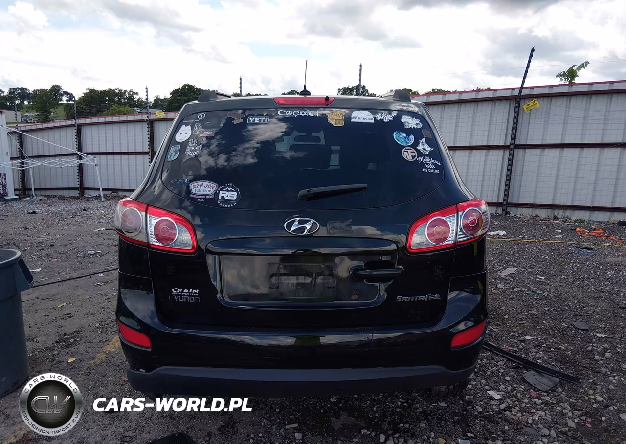 2010 Hyundai Santa Fe Gls VIN:5NMSG3AB5AH390228 - 16