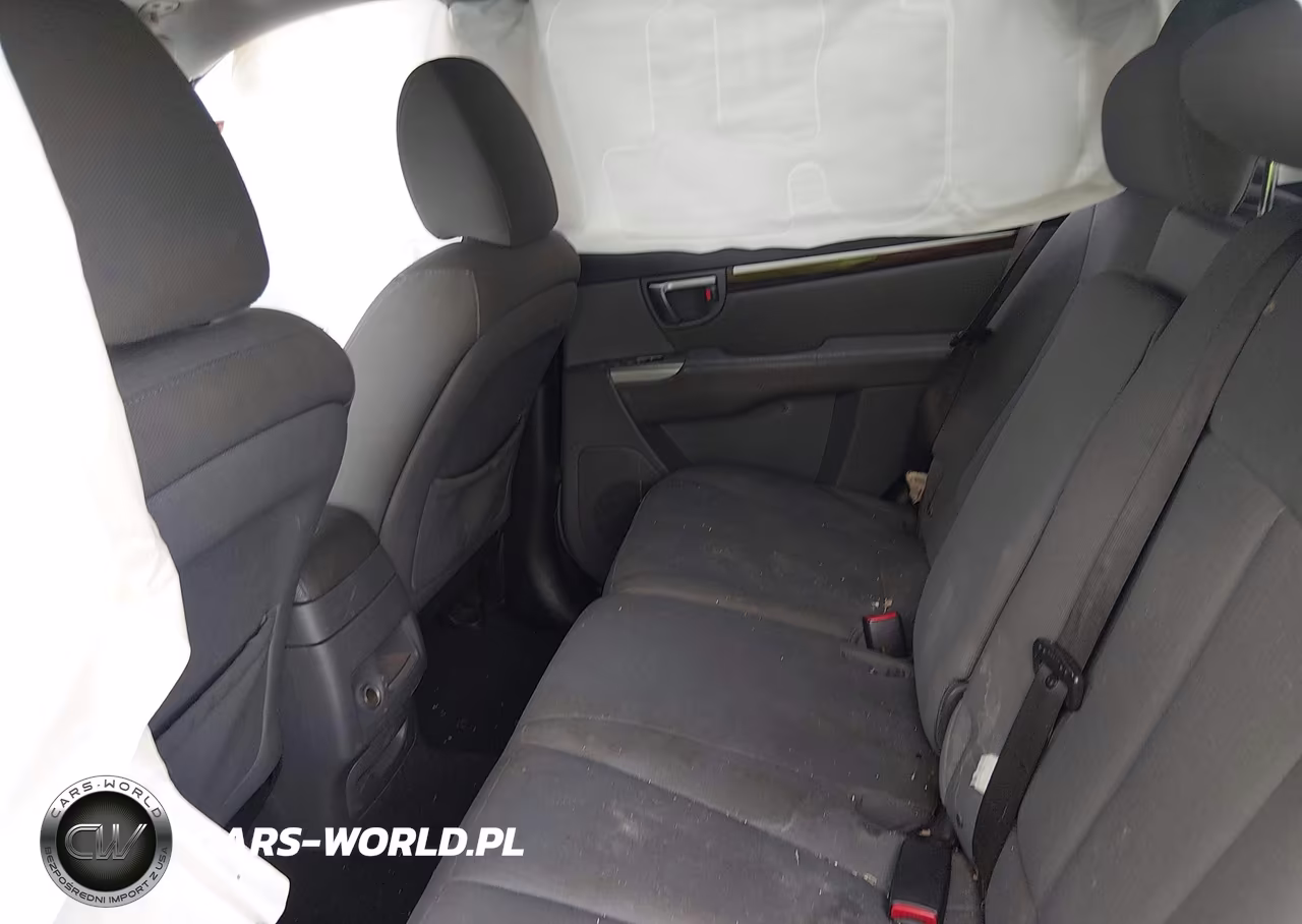 2010 Hyundai Santa Fe Gls VIN:5NMSG3AB5AH390228 - 8