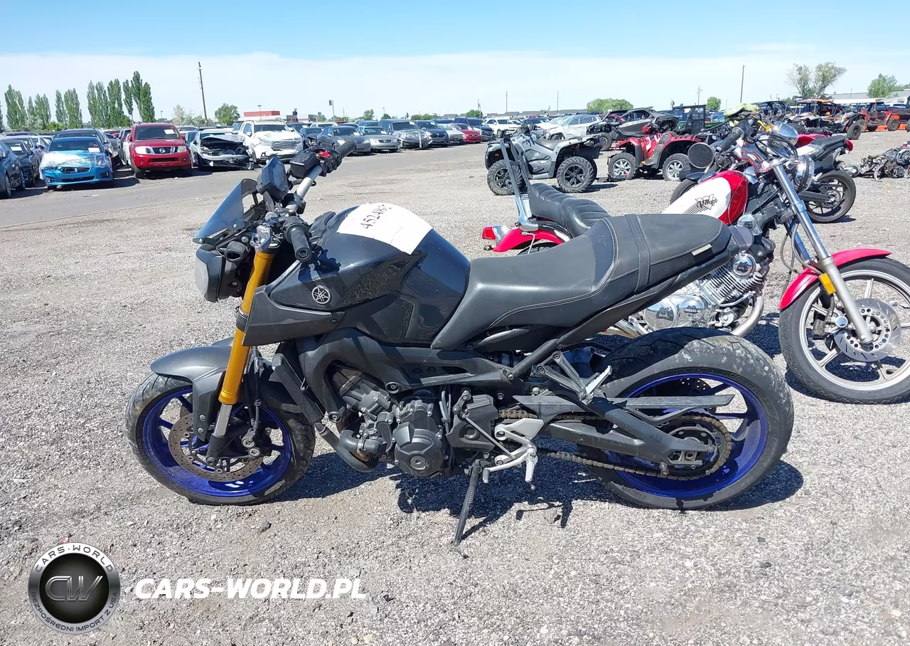 2014 Yamaha Fz09 C VIN:JYARN33Y6EA000884 - 13