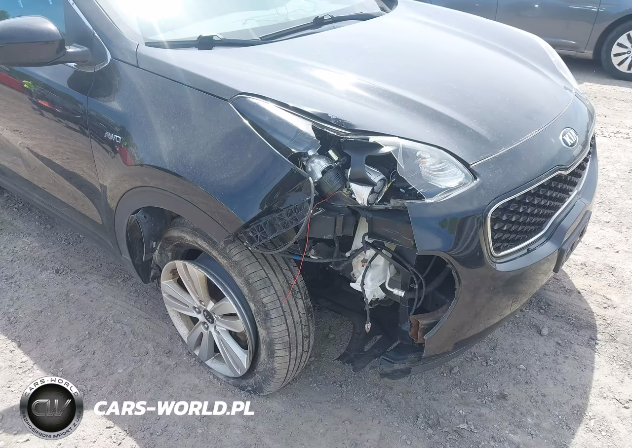 2019 Kia Sportage Lx VIN:KNDPMCAC0K7608446 - 17