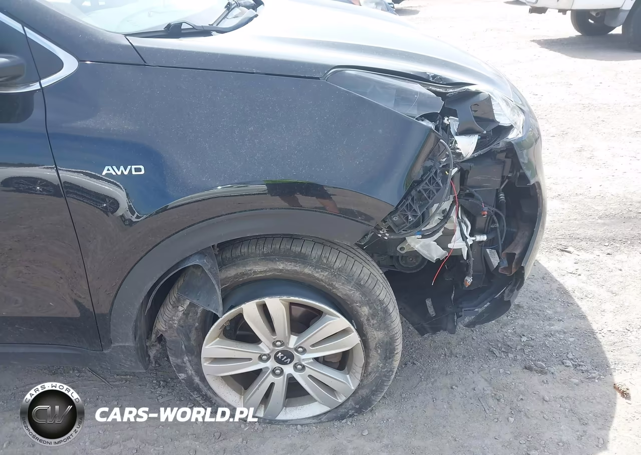 2019 Kia Sportage Lx VIN:KNDPMCAC0K7608446 - 18