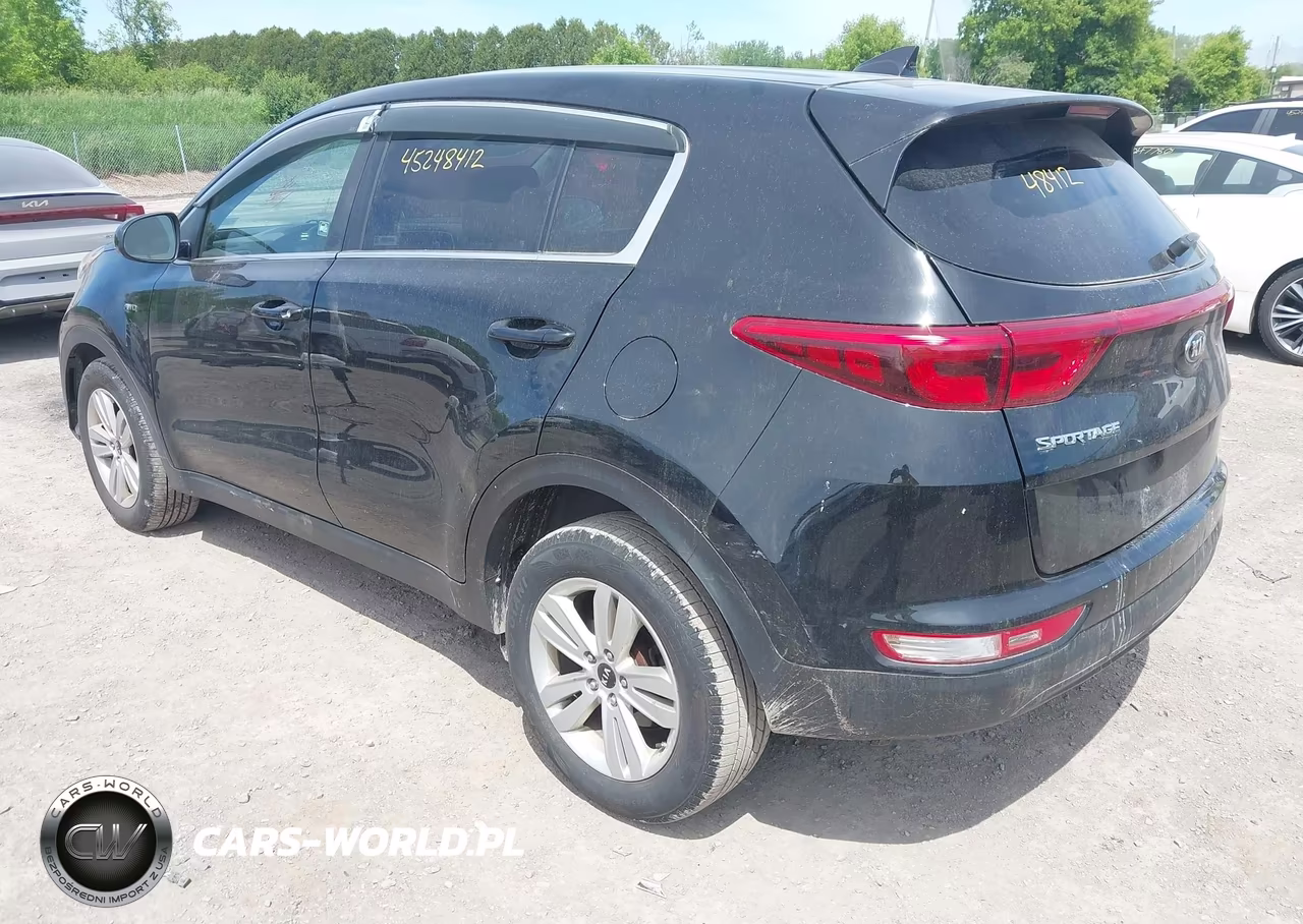 2019 Kia Sportage Lx VIN:KNDPMCAC0K7608446 - 3