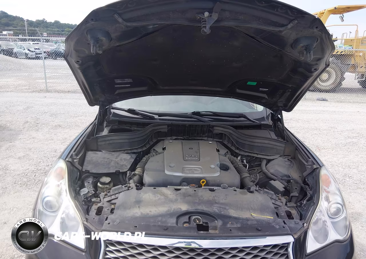 2016 Infiniti Qx50 VIN:JN1BJ0RR7GM263096 - 10