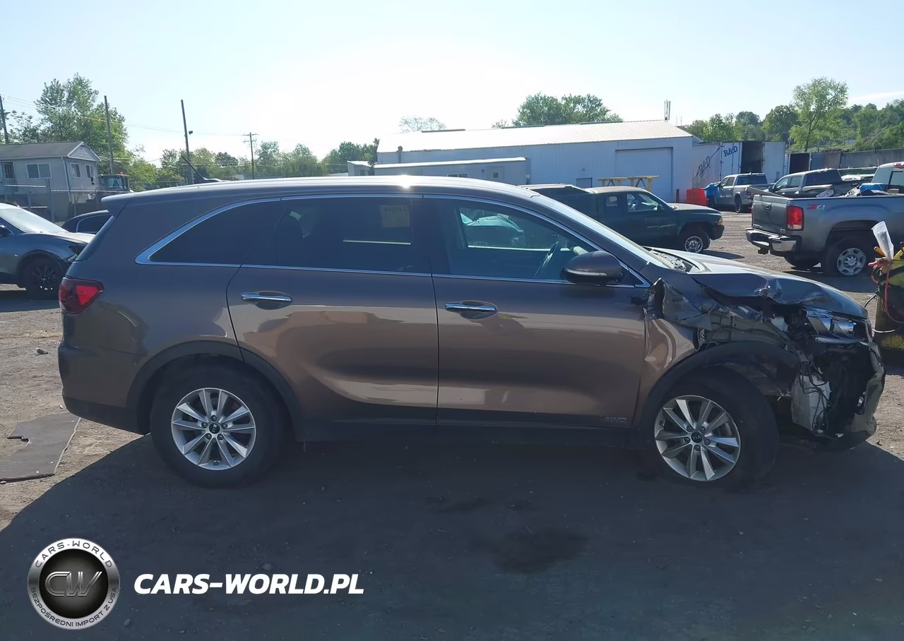2020 Kia Sorento 2.4L Lx VIN:5XYPGDA38LG647951 - 13