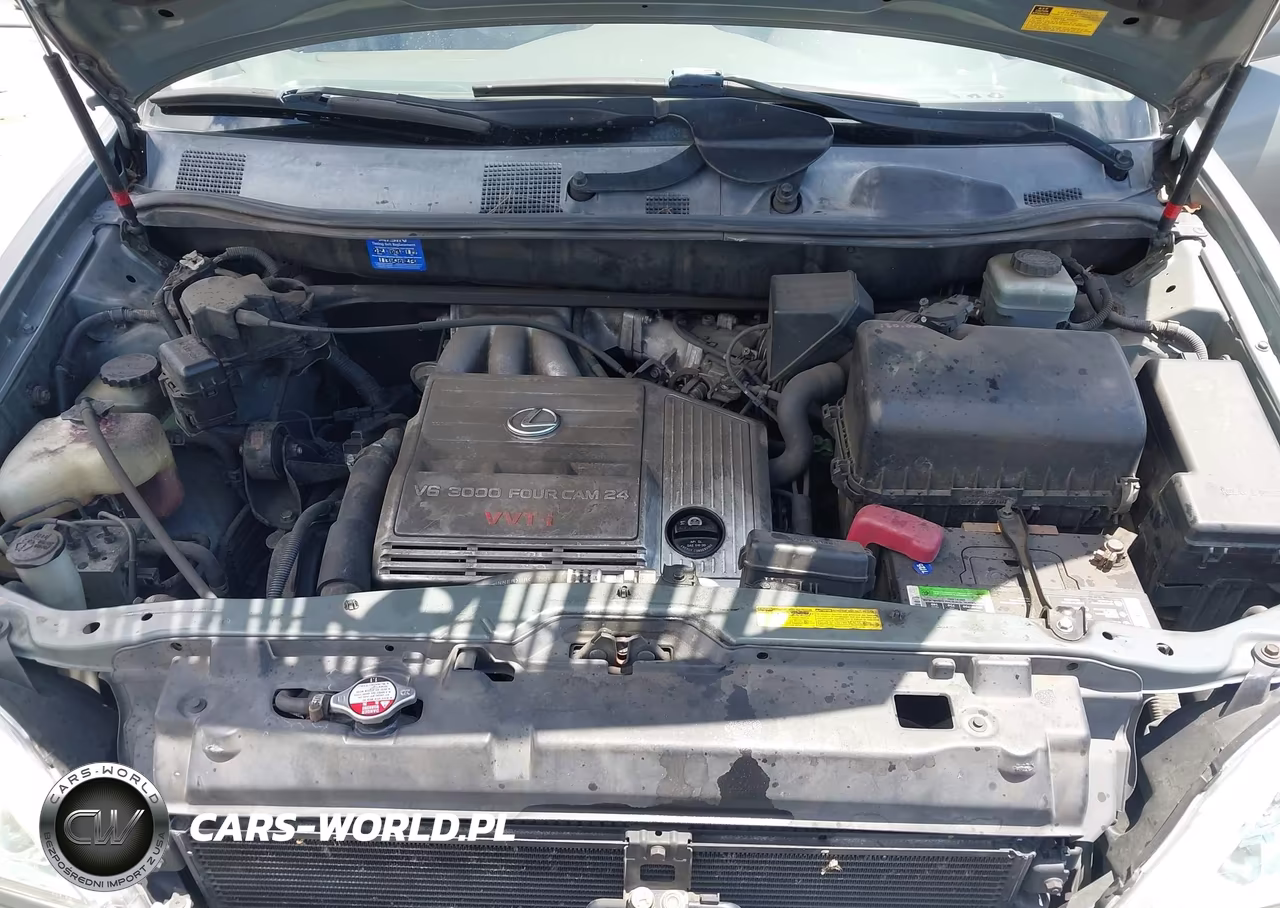 2003 Lexus Rx 300 VIN:JTJHF10U030312430 - 10