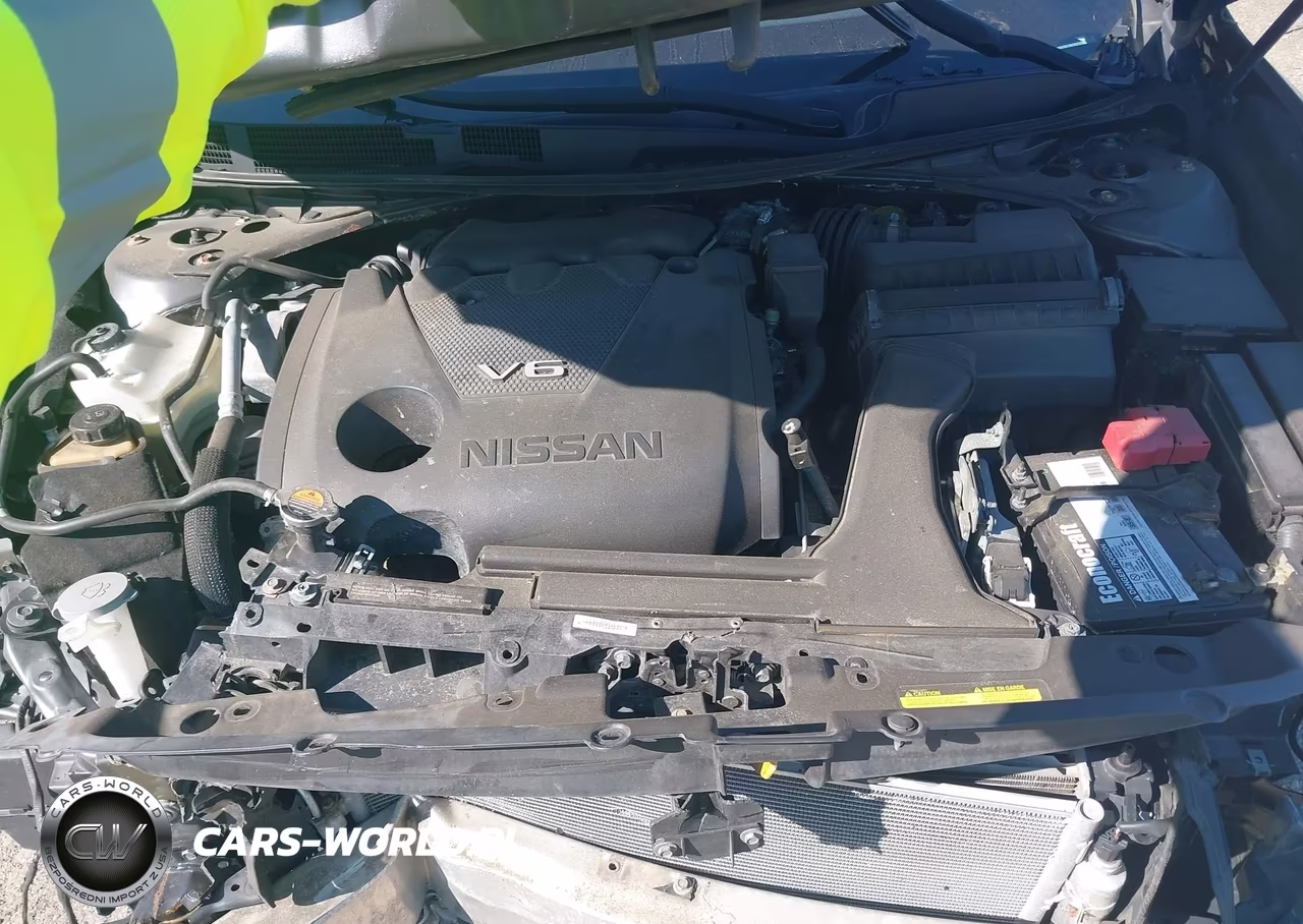 NISSAN MAXIMA VIN:1N4AA6AP1GC379945 - 10