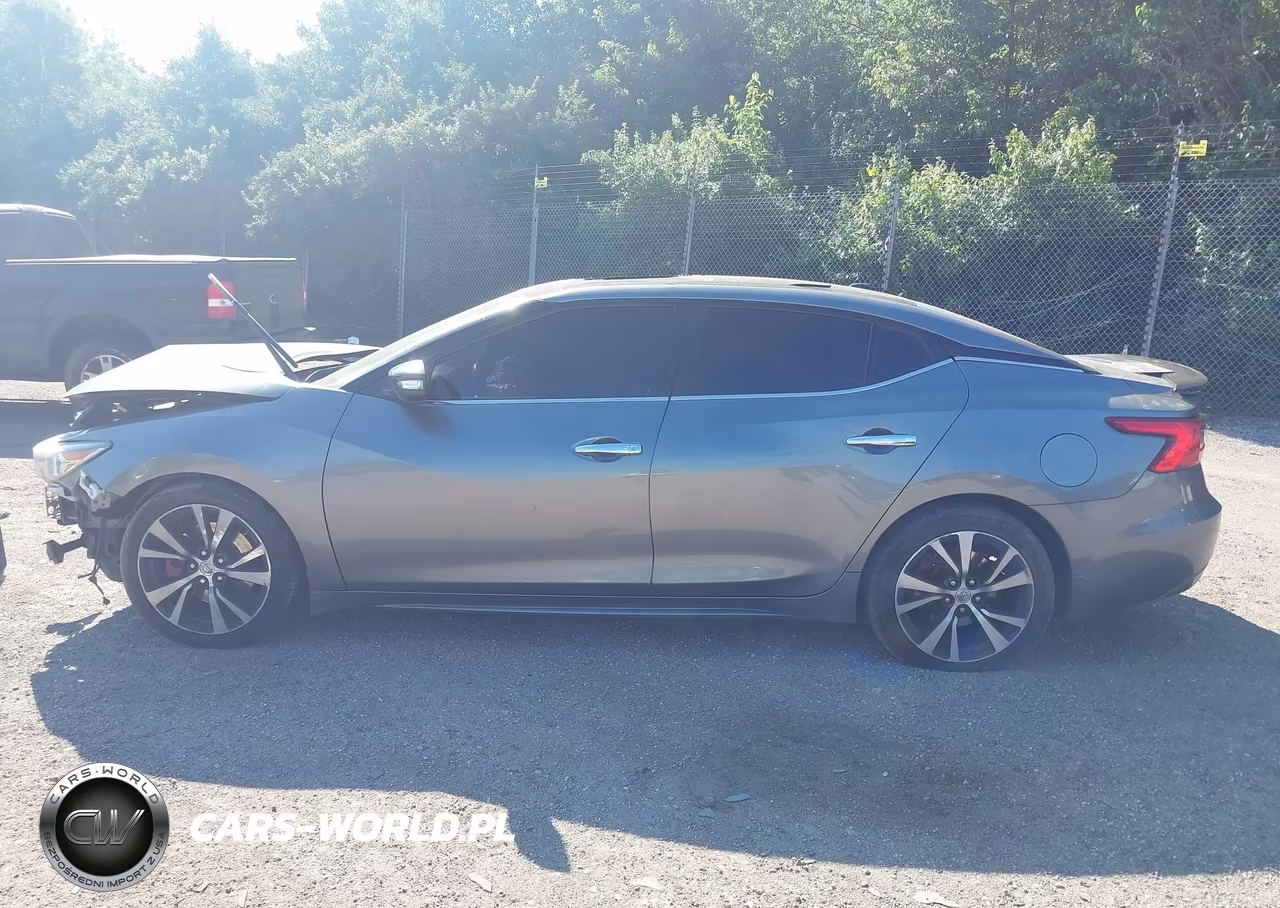 NISSAN MAXIMA VIN:1N4AA6AP1GC379945 - 14